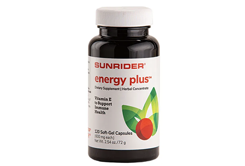 Energy Plus