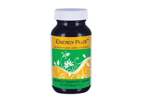Energy Plus